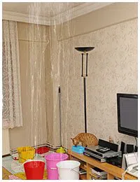 Miami Emergency Restoration Miami, FL 786-315-9983