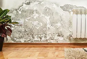 Miami Emergency Restoration Miami, FL 786-315-9983